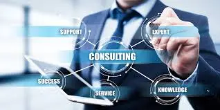Sanguine Consultancy